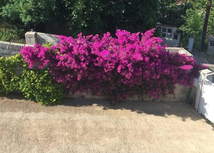 דירה Alivu בסטיה